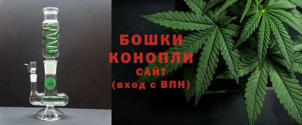 PSILOCYBIN Магас