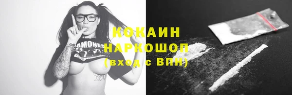 PSILOCYBIN Магас