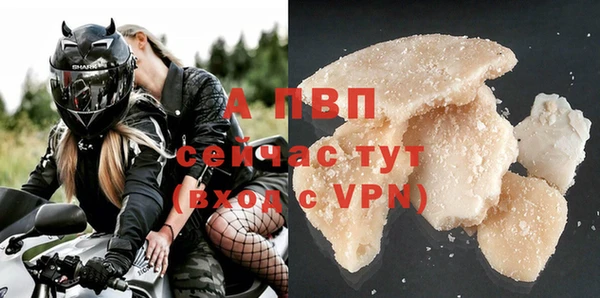 PSILOCYBIN Магас