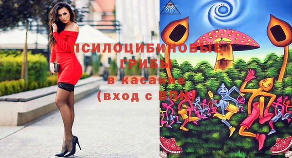 стаф Майский