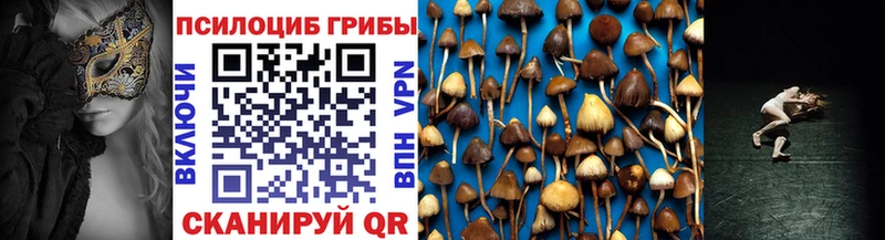 Псилоцибиновые грибы прущие грибы  где найти   Красково 